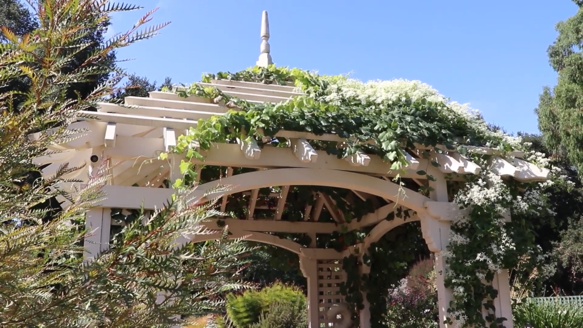 The Fall Equinox at the Gamble Garden